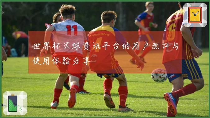 世界杯买球资讯平台的用户测评与使用体验分享