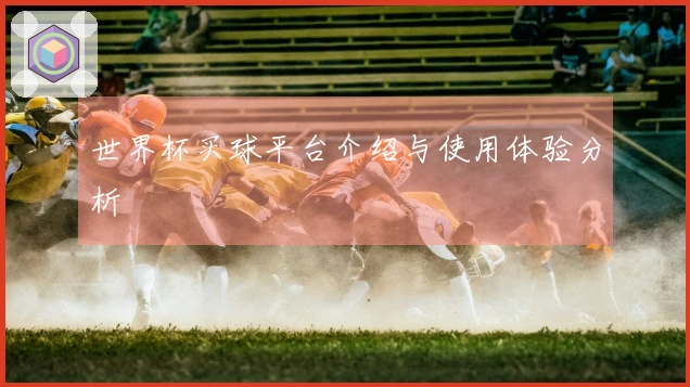 世界杯买球平台介绍与使用体验分析