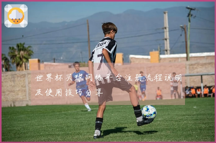 世界杯买球网络平台注册流程说明及使用技巧分享