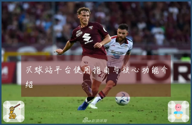 买球站平台使用指南与核心功能介绍