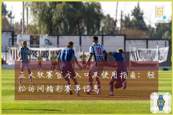 五大联赛官方入口及使用指南：轻松访问精彩赛事信息