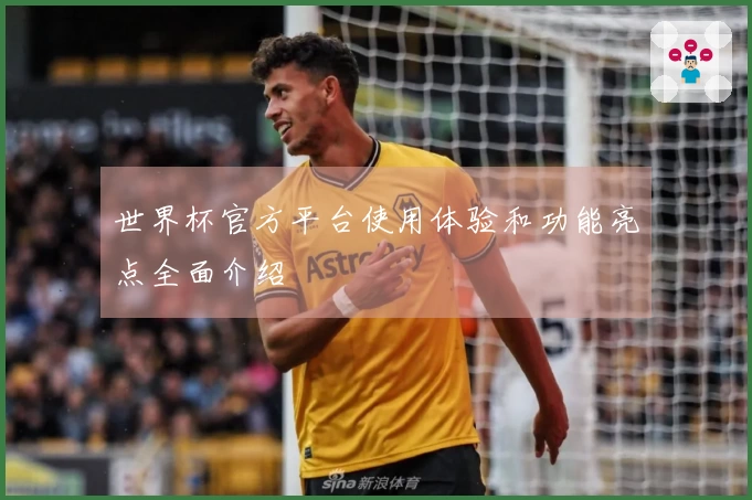 世界杯官方平台使用体验和功能亮点全面介绍
