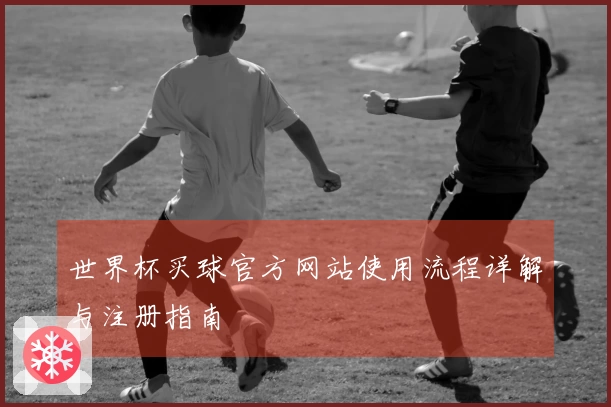 世界杯买球官方网站使用流程详解与注册指南