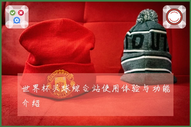 世界杯买球综合站使用体验与功能介绍