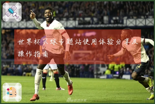 世界杯买球专题站使用体验分享及操作指南
