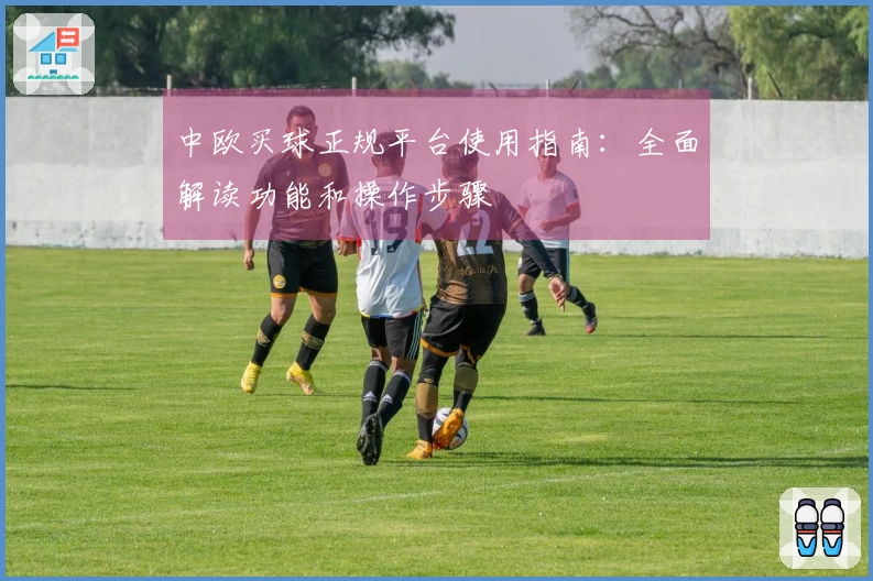 中欧买球正规平台使用指南：全面解读功能和操作步骤