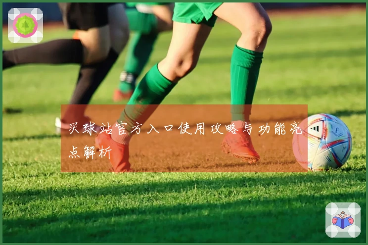 买球站官方入口使用攻略与功能亮点解析