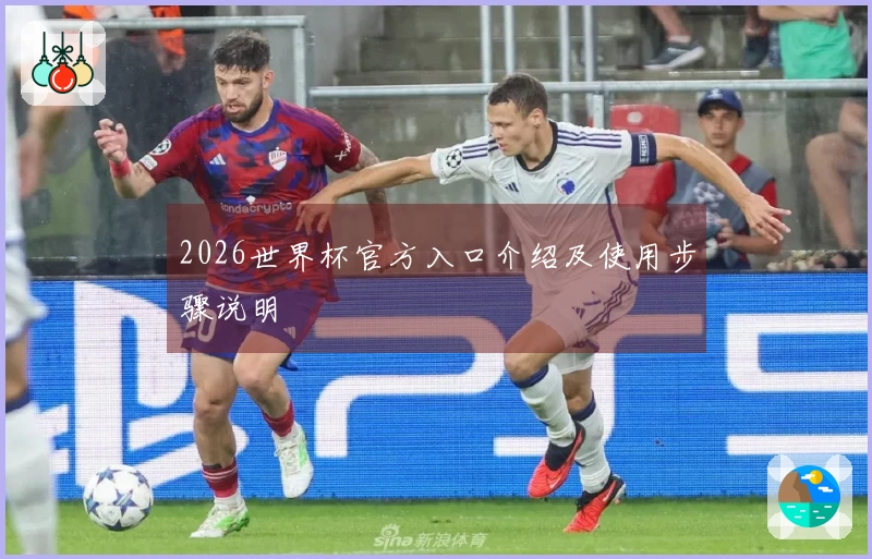 2026世界杯官方入口介绍及使用步骤说明