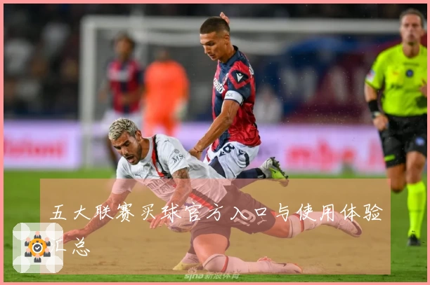 五大联赛买球官方入口与使用体验汇总