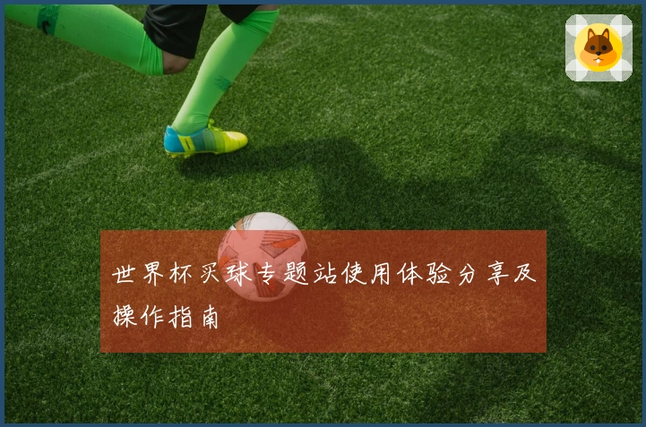 世界杯买球专题站使用体验分享及操作指南