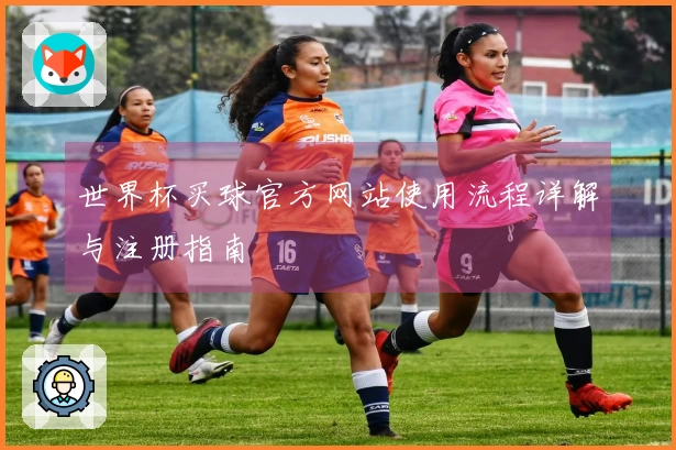 世界杯买球官方网站使用流程详解与注册指南
